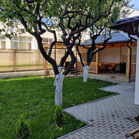 Casa Marina Guest House Calimanesti Exterior photo
