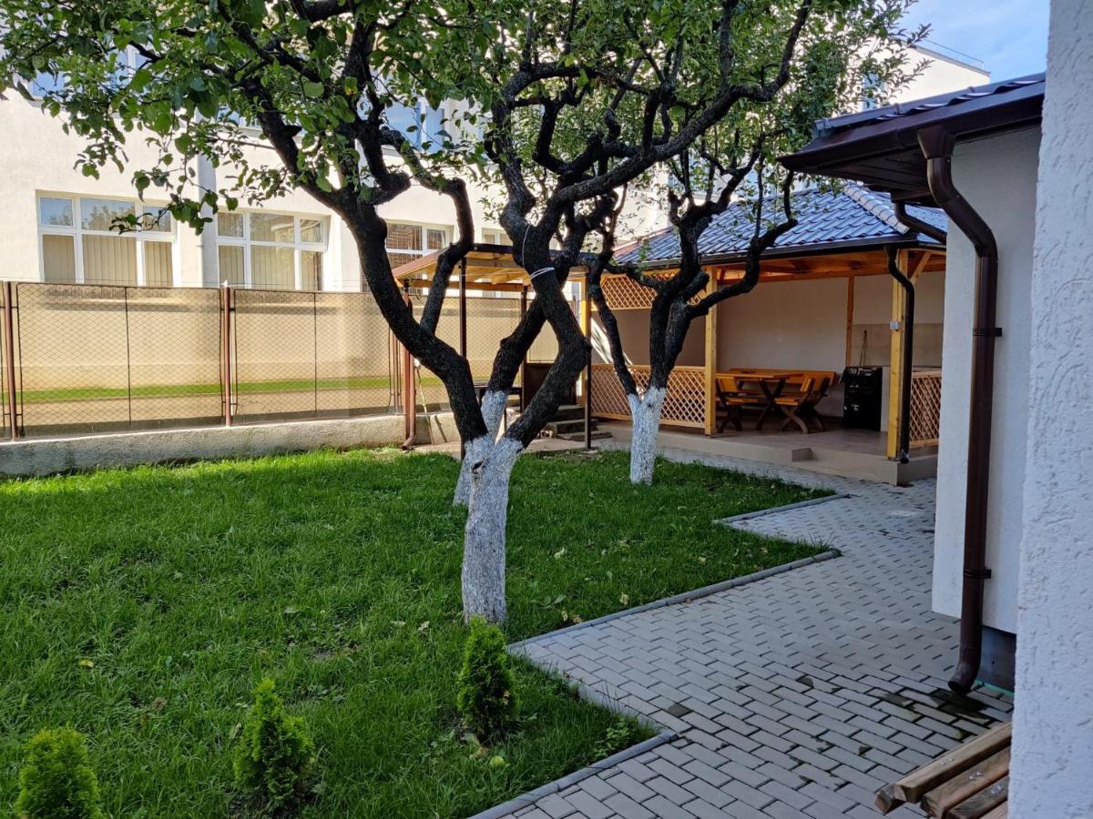 Casa Marina Guest House Calimanesti Exterior photo