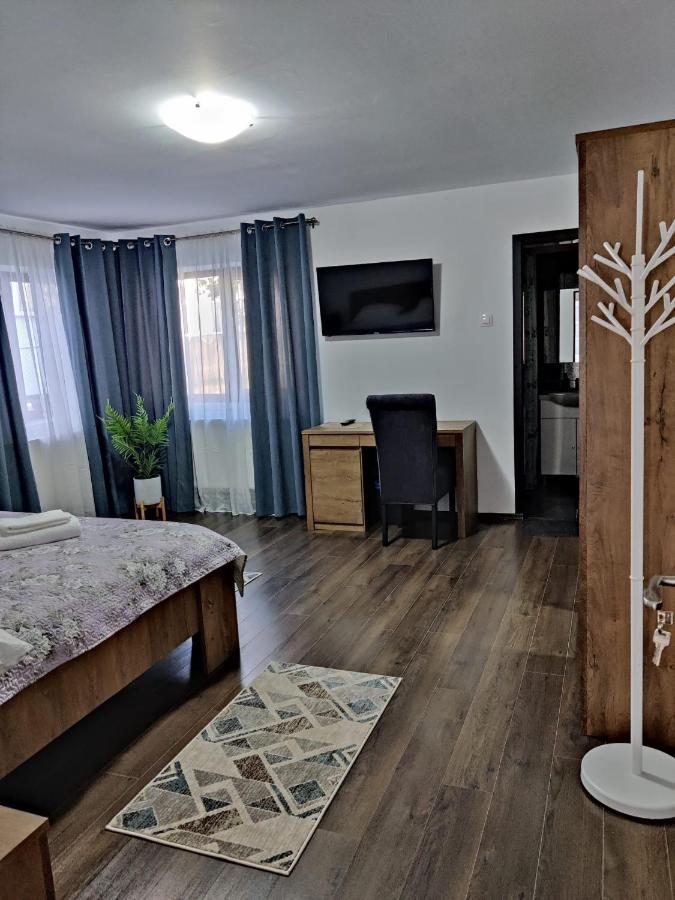 Casa Marina Guest House Calimanesti Exterior photo