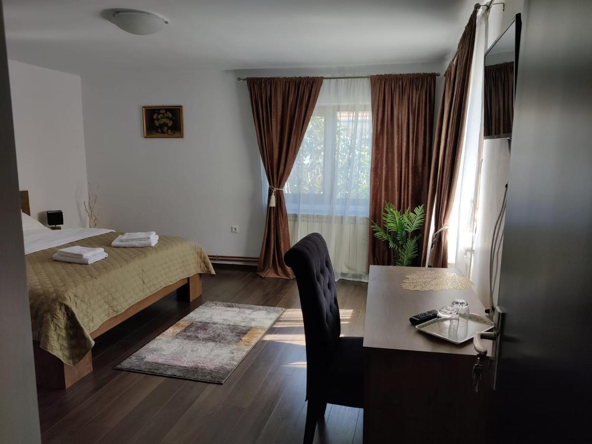 Casa Marina Guest House Calimanesti Exterior photo